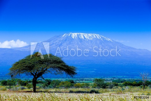 Bild på Kilimanjaro landscape
